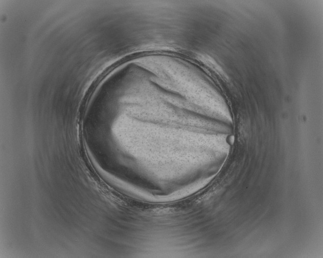 X0000071801268200607211638