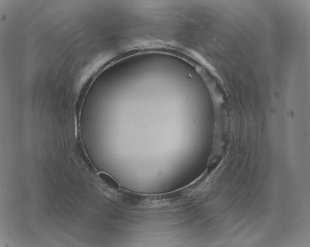 X0000071801269200607211638