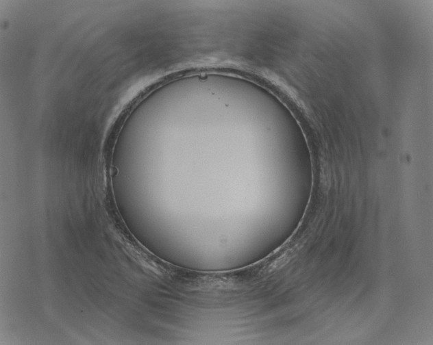 X0000071801270200607211638