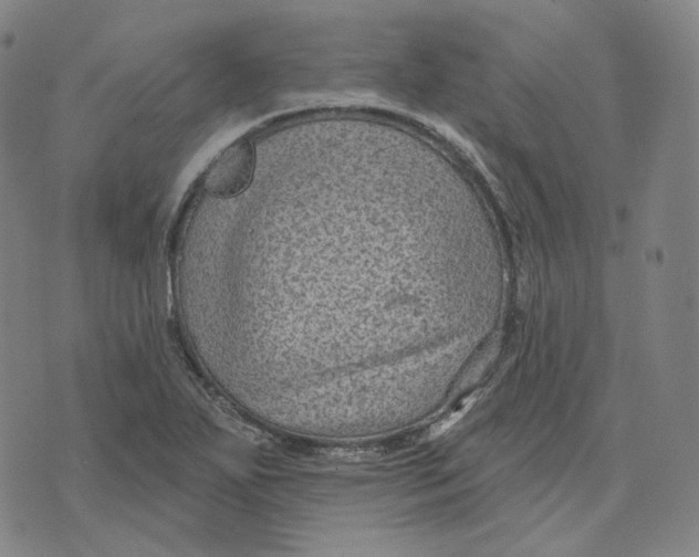 X0000071801271200607211638