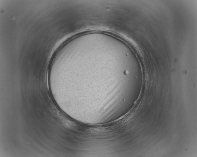 X0000071801272200607211638