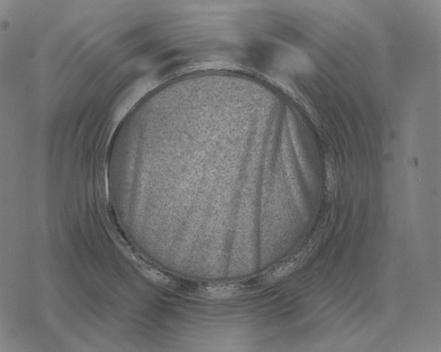 X0000071801274200607211638