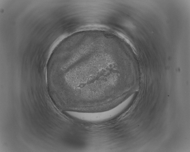 X0000071801275200607211638