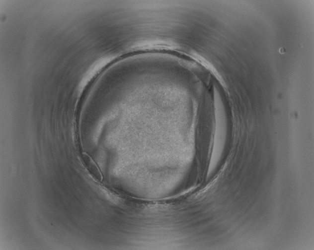 X0000071801277200607211638