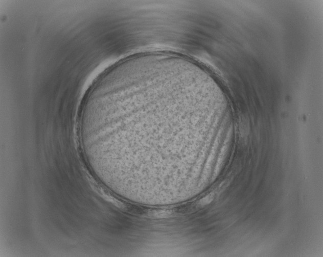 X0000071801278200607211638