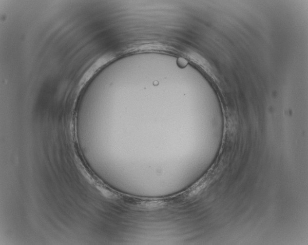 X0000071801282200607211638