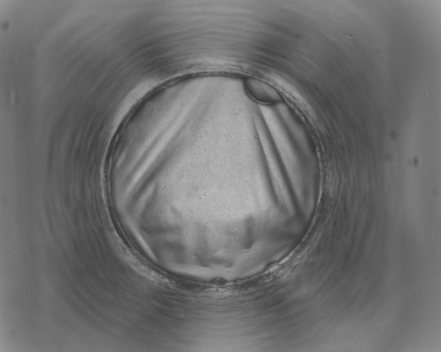 X0000071801283200607211638