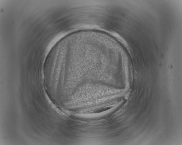 X0000071801287200607211638