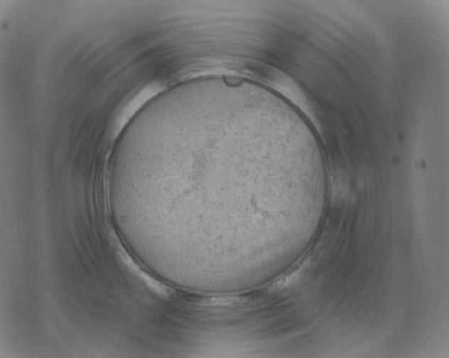 X0000071801290200607211638