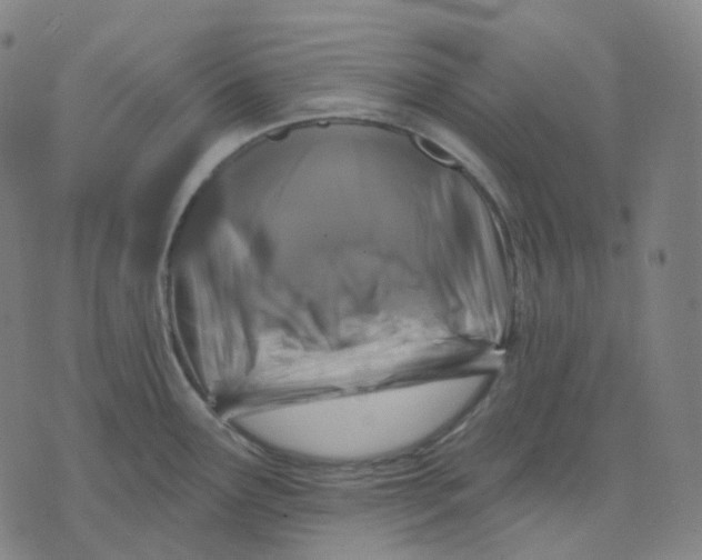 X0000071801291200607211637