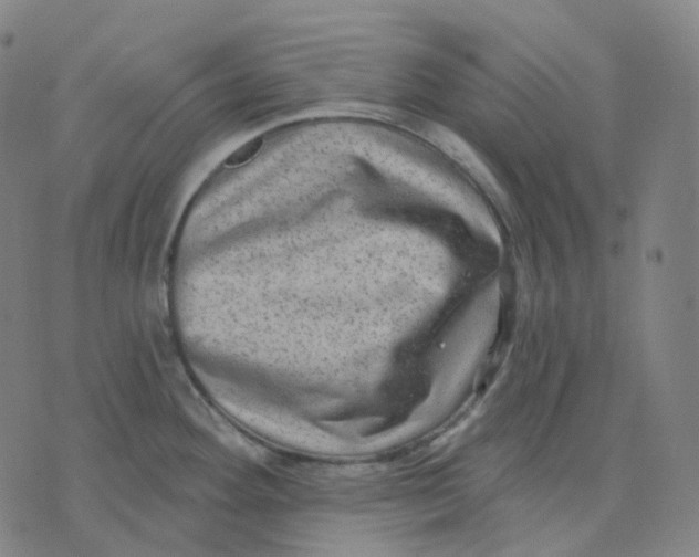 X0000071801292200607211637