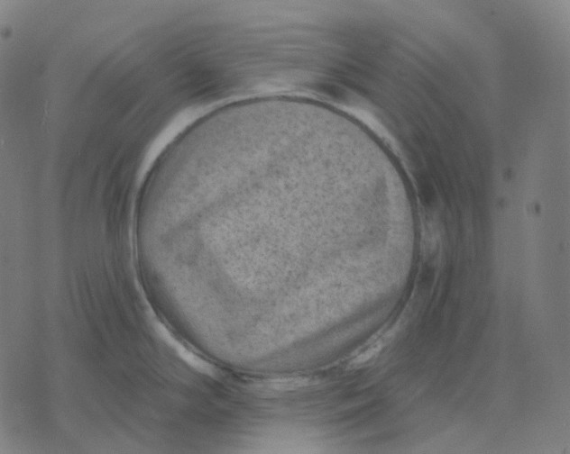 X0000071801294200607211637