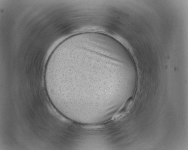 X0000071801296200607211637