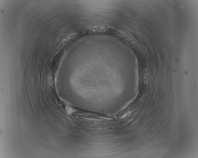 X0000071801298200607211637