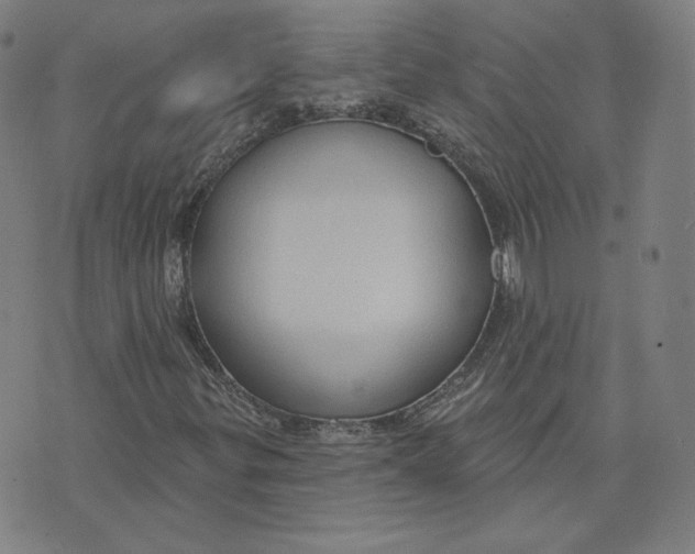 X0000071801299200607211637