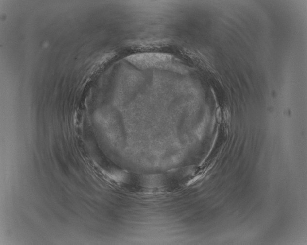 X0000071801300200607211637