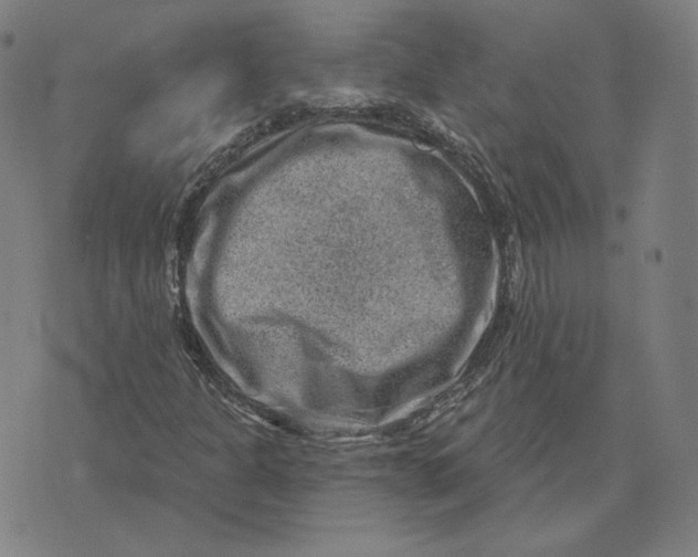 X0000071801301200607211637