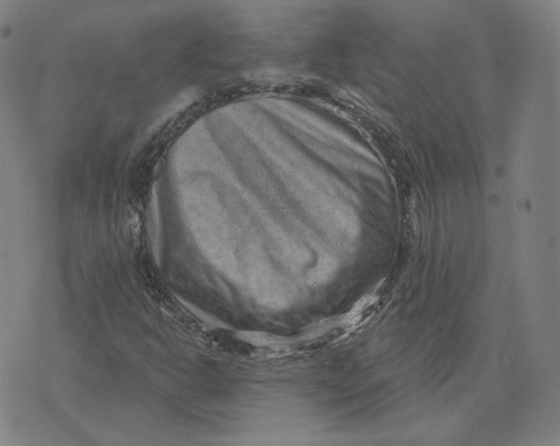 X0000071801302200607211637