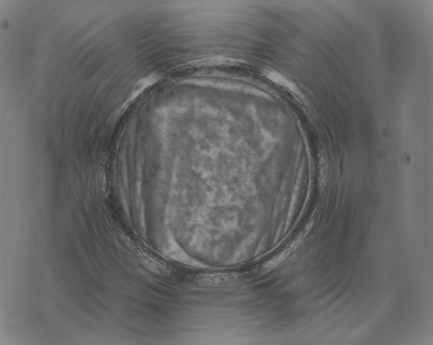 X0000071801305200607211637