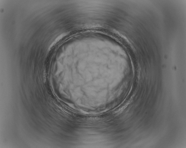 X0000071801306200607211637