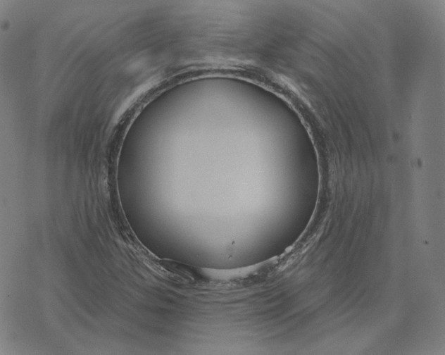 X0000071801307200607211637