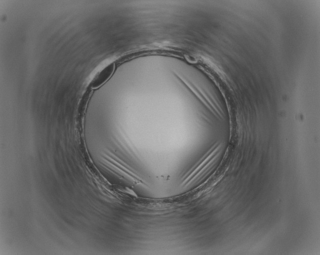 X0000071801308200607211637