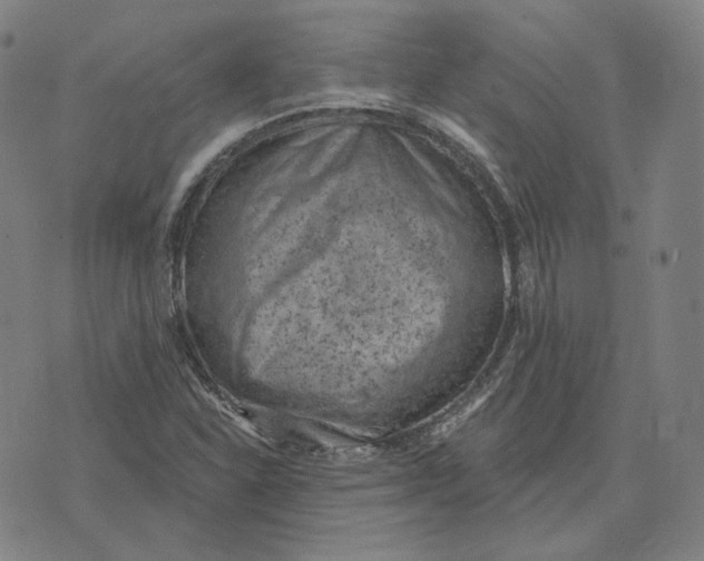 X0000071801310200607211637