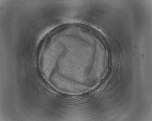 X0000071801311200607211637