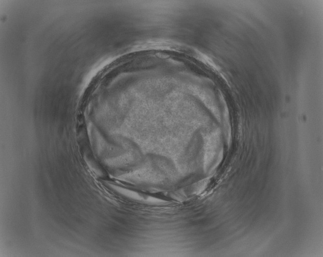 X0000071801312200607211637