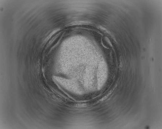 X0000071801313200607211637