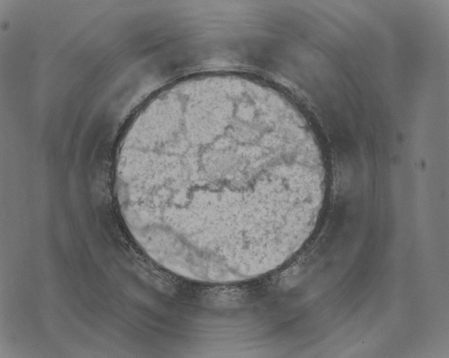 X0000071801314200607211637