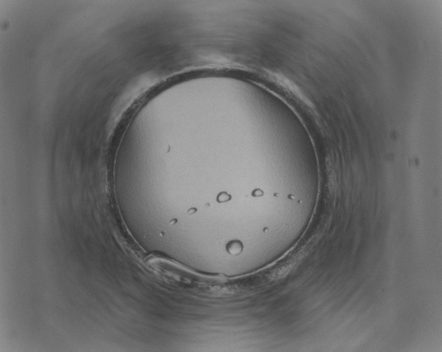 X0000071801318200607211637