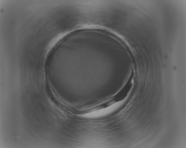 X0000071801319200607211637