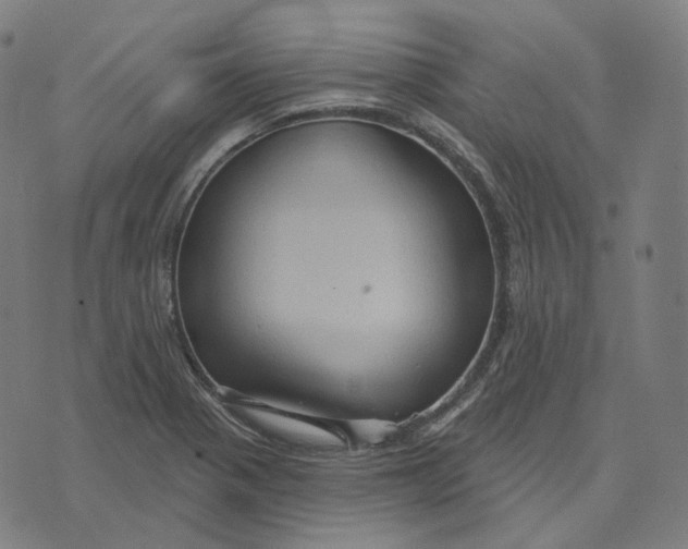 X0000071801321200607211637