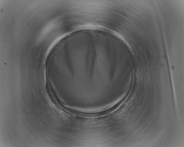 X0000071801323200607211637