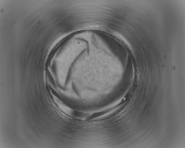 X0000071801324200607211637