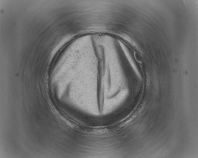 X0000071801325200607211637