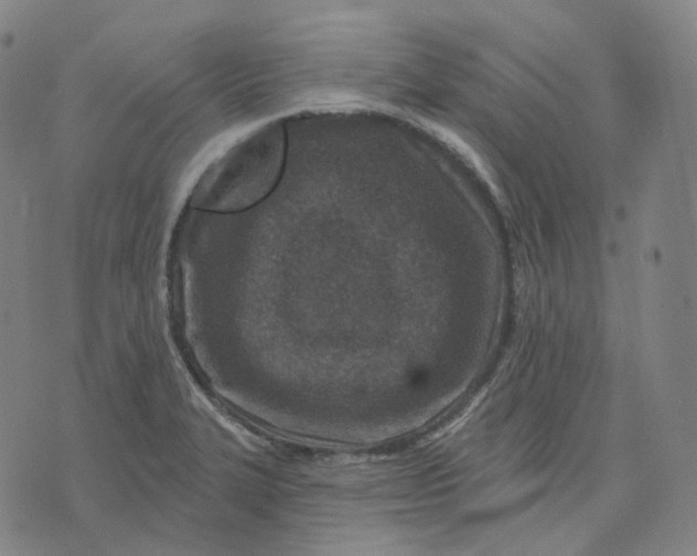 X0000071801327200607211637