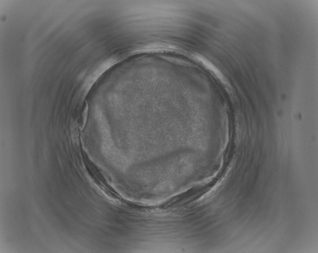 X0000071801329200607211637