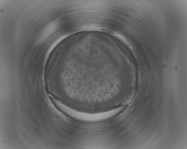 X0000071801331200607211637