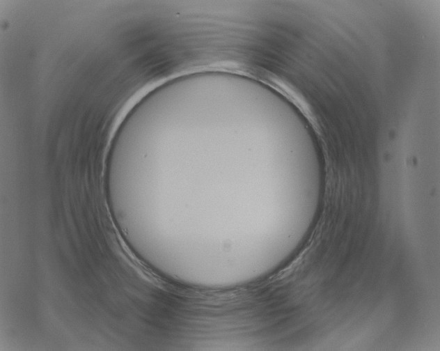 X0000071801332200607211637