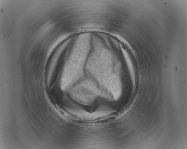 X0000071801333200607211637