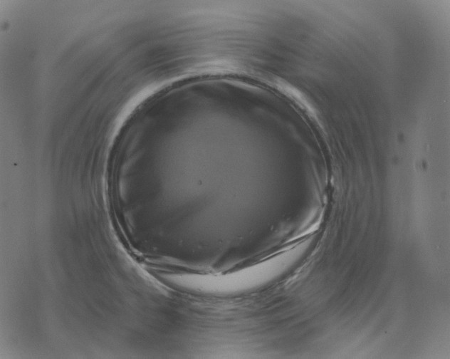 X0000071801334200607211637