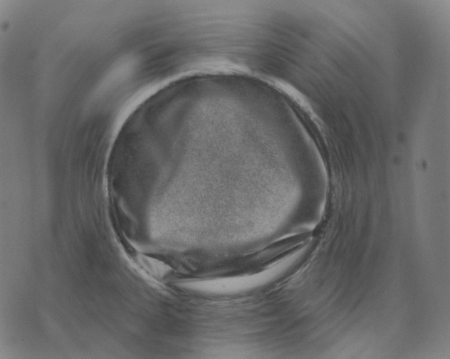 X0000071801335200607211637