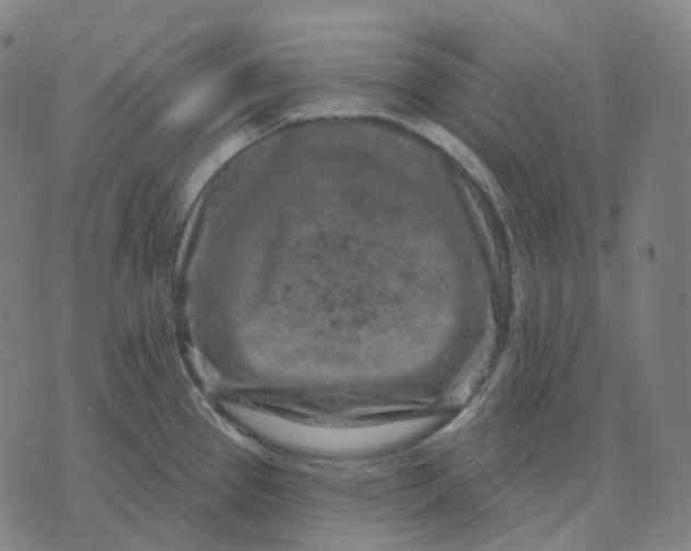 X0000071801337200607211637