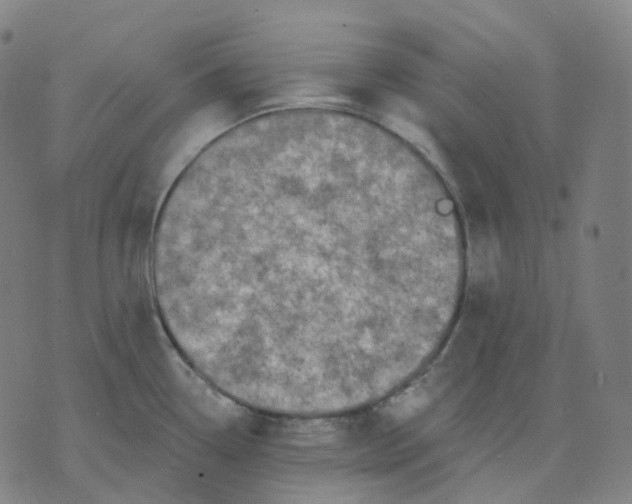 X0000071801338200607211637