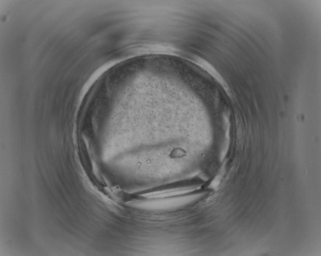 X0000071801339200607211637