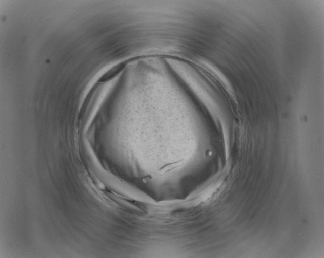 X0000071801340200607211637