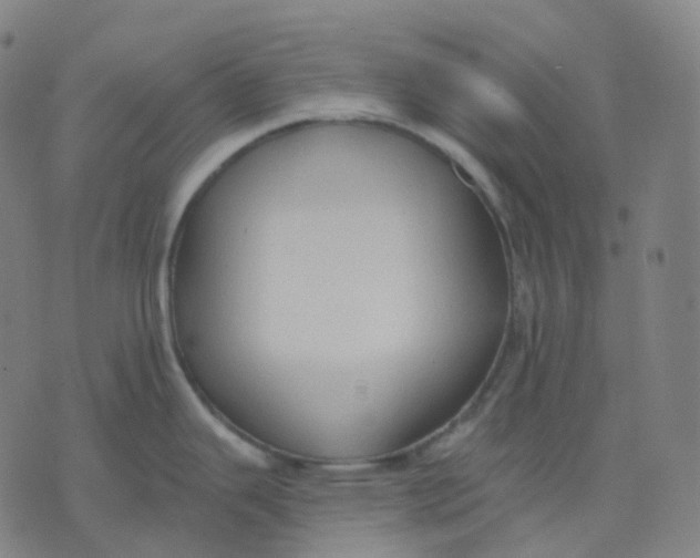 X0000071801343200607211637