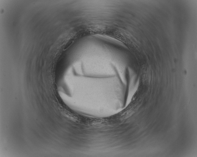 X0000071801345200607211637